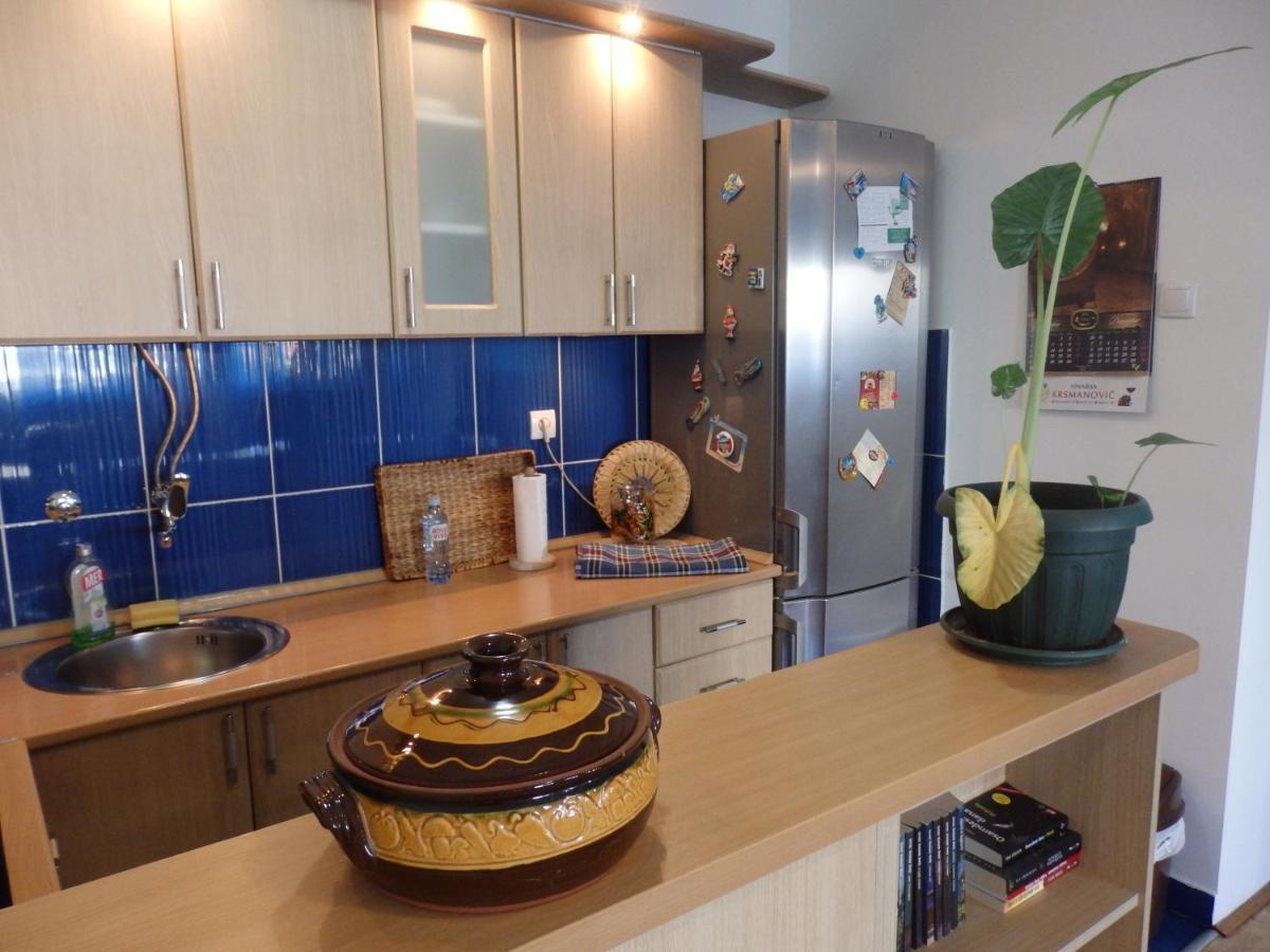 Apartment Erika 2 Нови-Сад Экстерьер фото